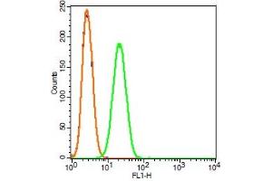 Rat RSC96 cells probed with HIF2 alpha Polyclonal Antibody, FITC conjugated (bs-1447R-FITC) (green) at 1:100 for 30 minutes compared to unstained cells (blue) and isotype control (orange). (EPAS1 antibody  (AA 1-130) (FITC))