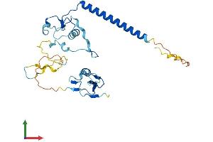 AlphaFold protein structure predicition of Human Recombinant MBD3 Protein, UniprotID O95983 (MBD3 Protein (AA 1-291) (His tag))