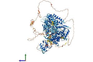 Protein Structure (PS) image for DNA Polymerase alpha (POLA1) (AA 1-1465) protein (His tag) (ABIN7563145)