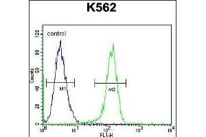 MYO19 Antibody (Center) (ABIN655116 and ABIN2844747) flow cytometric analysis of K562 cells (right histogram) compared to a negative control cell (left histogram). (Myosin XIX antibody  (AA 554-582))