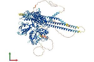 Protein Structure (PS) image for phospholipase C, beta 1 (phosphoinositide-Specific) (PLCB1) (AA 1-1216) protein (His tag) (ABIN7565274)