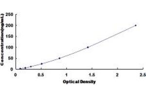 Typical standard curve (Transferrin ELISA Kit)