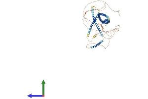 AlphaFold protein structure predicition of Mouse Recombinant Cage1 Protein, UniprotID Q5IR70 (CAGE1 Protein (AA 1-849) (His tag))