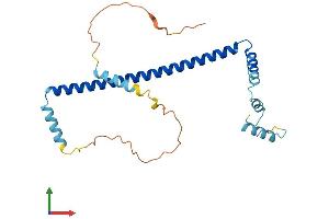 AlphaFold protein structure predicition of Mouse Recombinant Clta Protein, UniprotID O08585 (CLTA Protein (AA 1-235) (His tag))