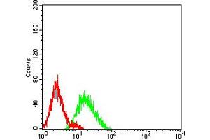 Flow cytometric analysis of HL-60 cells using CD106 mouse mAb (green) and negative control (red). (VCAM1 antibody  (AA 25-183))