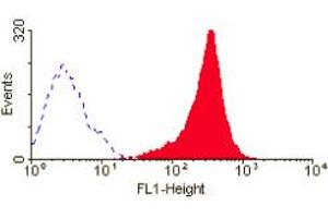 ABIN118867 (Mouse anti human CD95:FITC) staining of HUT78 T cell line. (FAS antibody  (Extracellular Domain) (FITC))