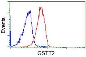 Image no. 2 for anti-Glutathione S-Transferase theta 2 (GSTT2) antibody (ABIN1498554) (GSTT2 antibody)