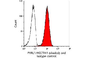 anti-Nectin-1 (NECTIN1) (AA 31-331) antibody