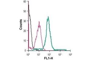 Cell surface detection of CB1 receptor in live intact human THP-1 monocytic leukemia cells: (black line) Cells. (CNR1 antibody  (Extracellular) (FITC))
