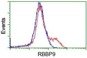HEK293T cells transfected with either RC202090 overexpress plasmid (Red) or empty vector control plasmid (Blue) were immunostained by anti-RBBP9 antibody (ABIN2453590), and then analyzed by flow cytometry. (RBBP9 antibody)