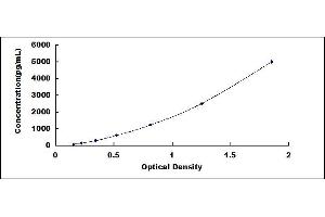 Typical standard curve (SLC22A4 ELISA Kit)