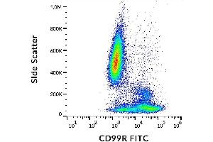 Surface staining of human peripheral blood with anti-CD99R (MEM-131) FITC. (CD99 antibody  (FITC))