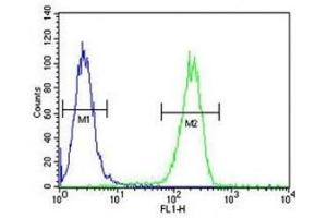 Flow Cytometry (FACS) image for anti-Annexin A5 (ANXA5) (AA 1-30) antibody (ABIN3029976)