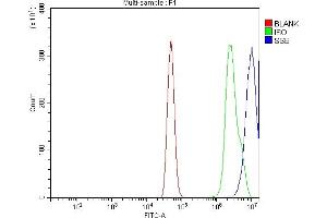Flow Cytometry analysis of A431 cells using anti-SSB antibody (ABIN7602125).