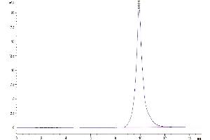 The purity of Mouse BCMA/TNFRSF17 is greater than 95 % as determined by SEC-HPLC. (BCMA Protein (AA 1-49) (His-Avi Tag))