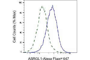 Flow cytometric analysis of ASRGL1 expression in HeLa cells using ASRGL1 antibody (ABIN7797661), 1:2,000). (ASRGL1 antibody)