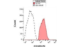 Surface staining of CD103 on PHA-activated PBMC with anti-CD103 (Ber-ACT8) PE.