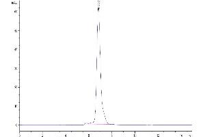 The purity of Human LIGHT is greater than 95 % as determined by SEC-HPLC. (TNFSF14 Protein (AA 74-240) (Fc Tag))