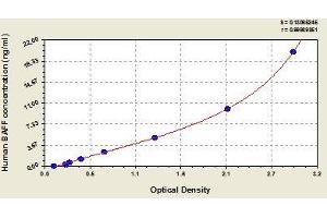 Typical standard curve (BAFF ELISA Kit)