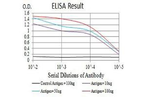 Black line: Control Antigen (100 ng),Purple line: Antigen (10 ng), Blue line: Antigen (50 ng), Red line:Antigen (100 ng) (SLAMF7 antibody  (AA 23-226))
