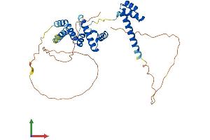 AlphaFold protein structure predicition of Human Recombinant SIX3 Protein, UniprotID O95343 (SIX3 Protein (AA 1-332) (His tag))