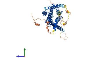 ADRB3 Protein (AA 1-408) (His tag)