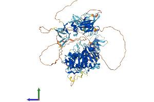 AlphaFold protein structure predicition of Human Recombinant CYLD Protein, UniprotID Q9NQC7 (CYLD Protein (AA 1-956) (His tag))