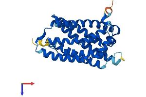AlphaFold protein structure predicition of Mouse Recombinant Elovl6 Protein, UniprotID Q920L5 (ELOVL6 Protein (AA 1-267) (His tag))