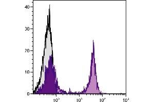 BALB/c mouse splenocytes were stained with Rat Anti-Mouse CD45R-BIOT. (Biotin antibody)