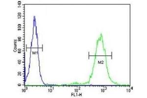 CD69 antibody flow cytometric analysis of HL-60 cells (right histogram) compared to a negative control (left histogram). (CD69 antibody  (AA 119-148))