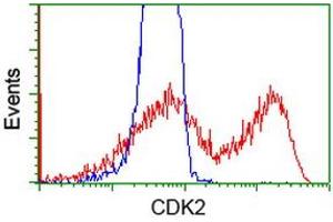 HEK293T cells transfected with either RC200494 overexpress plasmid (Red) or empty vector control plasmid (Blue) were immunostained by anti-CDK2 antibody (ABIN2454523), and then analyzed by flow cytometry. (CDK2 antibody)