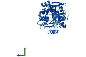Protein Structure (PS) image for Mesoderm Specific Transcript (MEST) (AA 1-335) protein (His tag) (ABIN7556914)