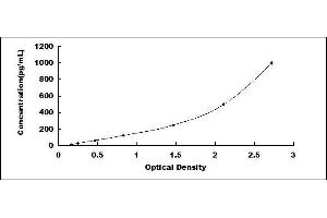 ELISA image for Vascular Endothelial Growth Factor A (VEGFA) ELISA Kit (ABIN6574143)