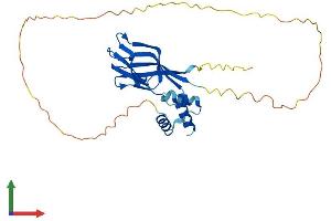 Protein Structure (PS) image for Nucleophosmin (Nucleolar phosphoprotein B23, Numatrin) (NPM1) (AA 1-292) protein (His tag) (ABIN7563934)