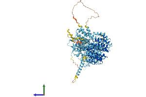 AlphaFold protein structure predicition of Mouse Recombinant Psmd1 Protein, UniprotID Q3TXS7
