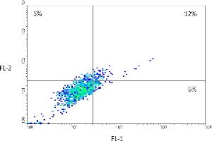 Fluorescence-activated cell sorting analysis after co-icubation of HCT116 cells with FITC-labeled CaIX-P1 and rhodamine-labeled anti-human CAIX mAb. (Rabbit anti-Mouse IgG (Heavy & Light Chain) Antibody (TRITC))