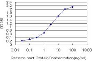 Detection limit for recombinant GST tagged PGAM1 is approximately 0. (PGAM1 antibody  (AA 1-254))