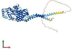 Protein Structure (PS) image for Scavenger Receptor Class B, Member 1 (SCARB1) (AA 1-552) protein (His tag) (ABIN7555418)