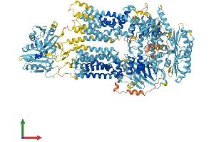 AlphaFold protein structure predicition of Mouse Recombinant Abca8a Protein, UniprotID Q8K442