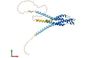 Protein Structure (PS) image for Gap Junction Protein, delta 2, 36kDa (GJD2) (AA 1-321) protein (His tag) (ABIN7546929)