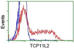 HEK293T cells transfected with either RC207129 overexpress plasmid (Red) or empty vector control plasmid (Blue) were immunostained by anti-TCP11L2 antibody (ABIN2453718), and then analyzed by flow cytometry. (TCP11L2 antibody)