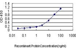 Detection limit for recombinant GST tagged KIF2 is approximately 0. (KIF2A antibody  (AA 1-679))