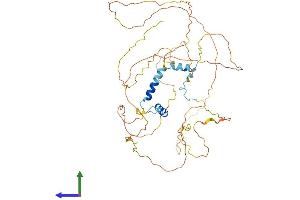 AlphaFold protein structure predicition of Human Recombinant GPBP1 Protein, UniprotID Q86WP2 (GC-Rich Promoter Binding Protein 1 (GPBP1) (AA 1-473) protein (His tag))