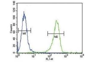 TPA antibody flow cytometric analysis of A2058 cells (green) compared to a negative control (blue). (PLAT antibody  (AA 371-399))