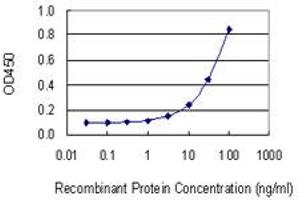 Detection limit for recombinant GST tagged CD59 is 1 ng/ml as a capture antibody. (CD59 antibody  (AA 1-128))