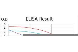 Figure 1: Red: Control Antigen (100 ng), Purple: Antigen (10ng), Green: Antigen (50 ng), Blue: Antigen (100 ng) (COTL1 antibody)