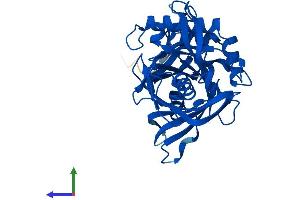 Protein Structure (PS) image for L-3-Hydroxyproline Dehydratase (Trans-) (L3HYPDH) (AA 1-354) protein (His tag) (ABIN7544089)