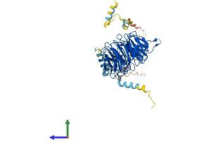 AlphaFold protein structure predicition of Mouse Recombinant Cdc20 Protein, UniprotID Q9JJ66 (CDC20 Protein (AA 1-499) (His tag))