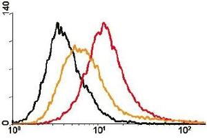 Fig. (CEACAM1 antibody)