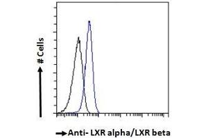 Nuclear Receptor Subfamily 1, Group H, Member 2/3 (NR1H2/3) (AA 429-442), (AA 443-456) antibody